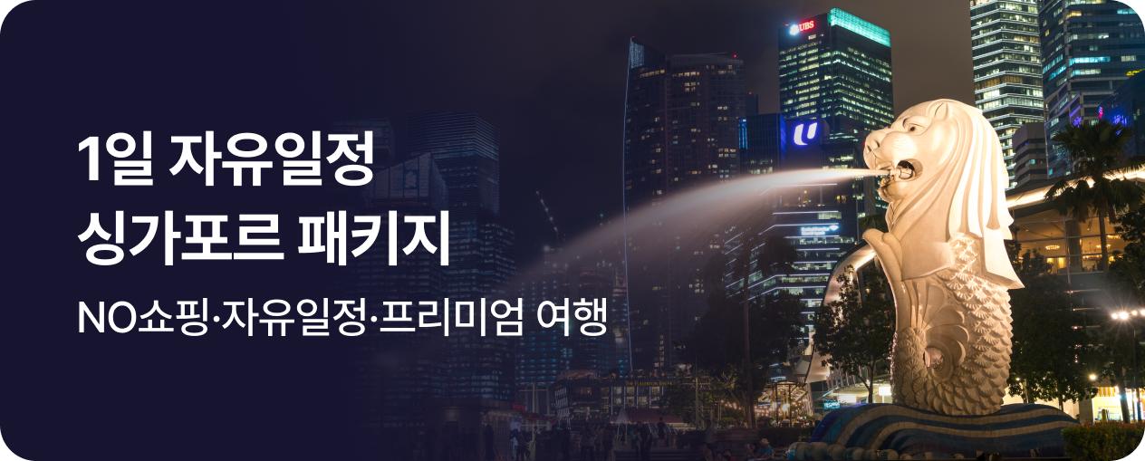 260227_상품_싱가폴_인하우스