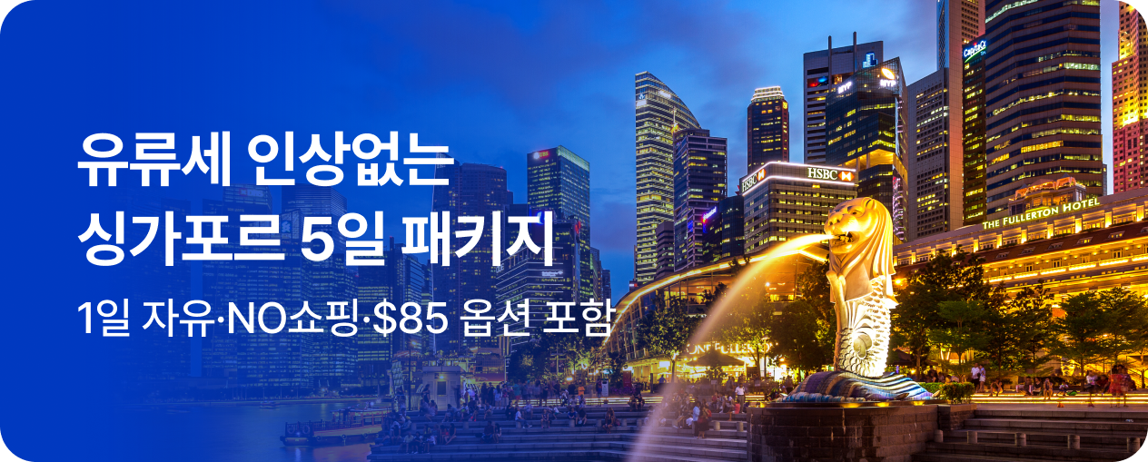 260520_상품_싱가포르