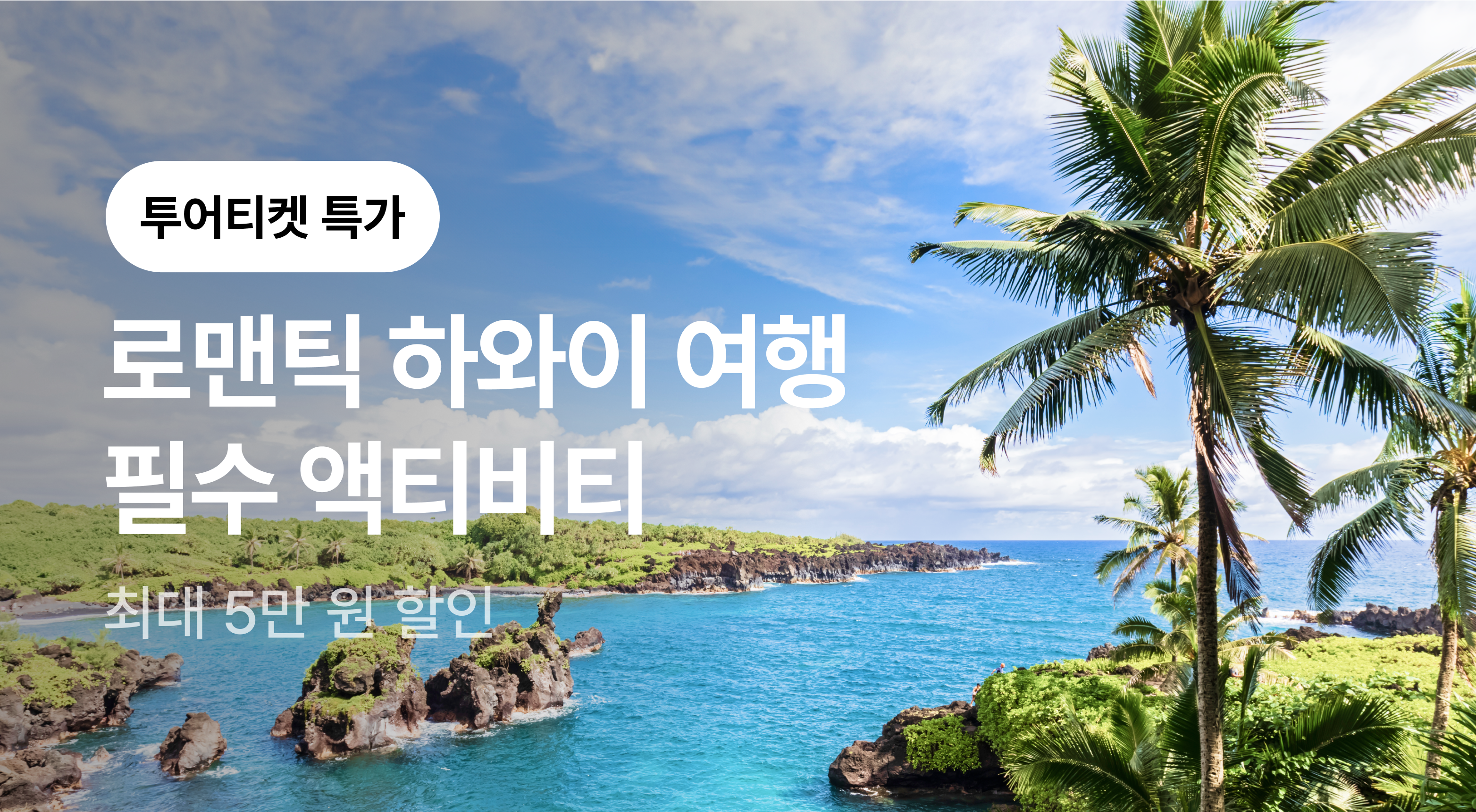 하와이 액티비티 최저가