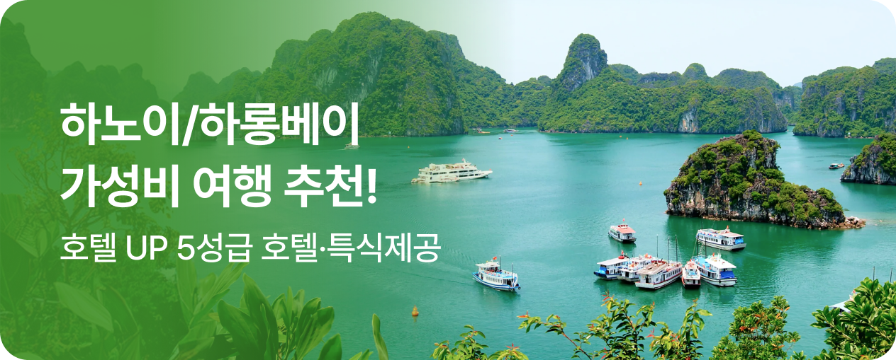 260520_상품_하노이