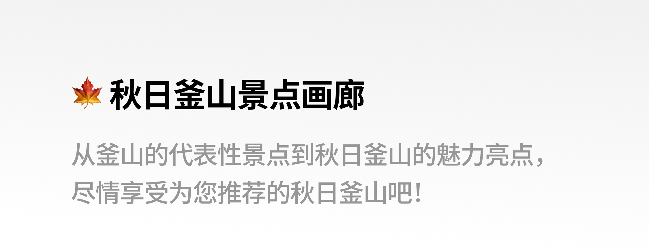 부산 가을 관광지