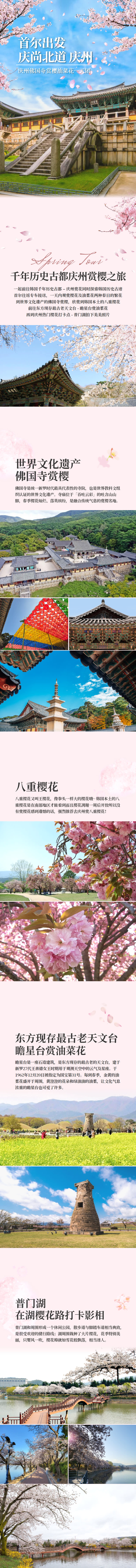 [首尔出发] 庆州佛国寺赏樱油菜花一天团