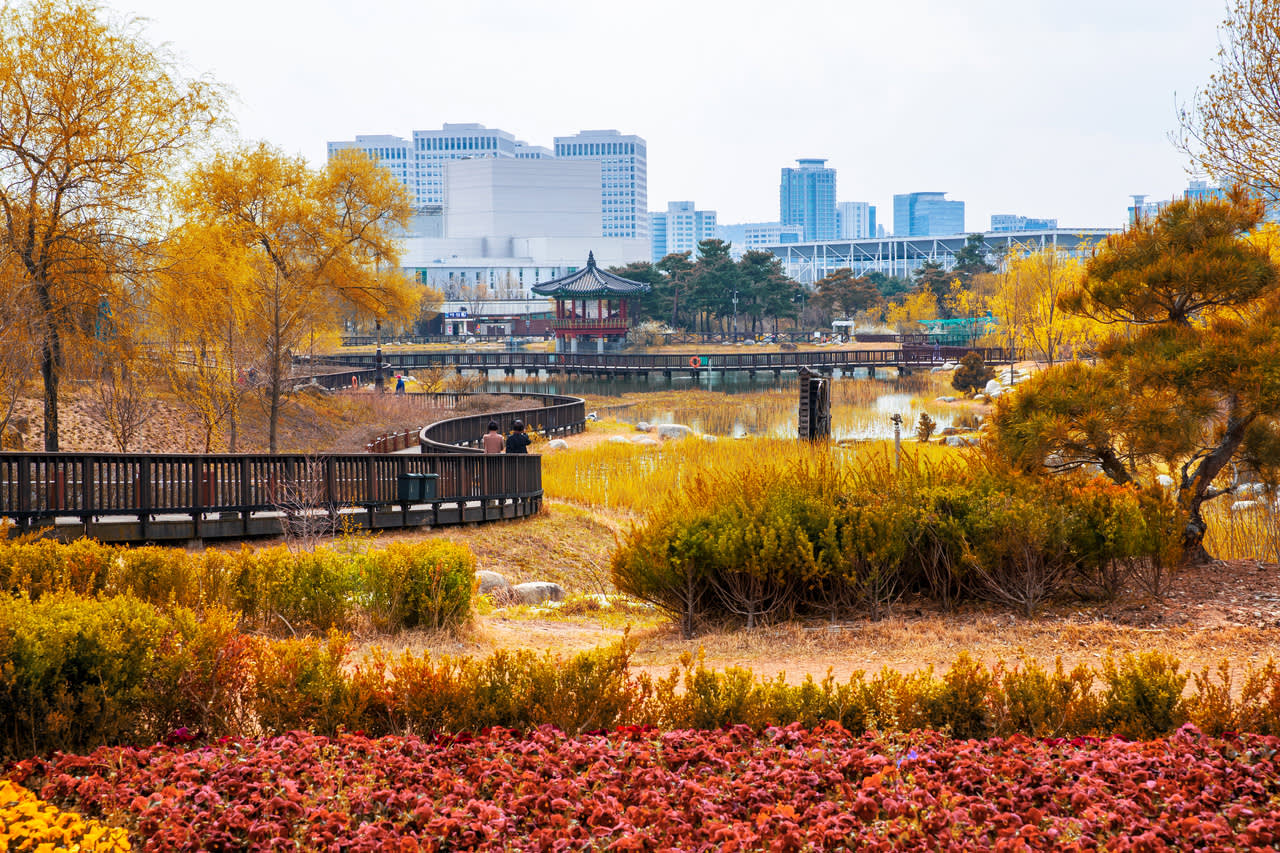 [From Seoul] Daejeon Autumn Day Tour: Jangtaesan, Hanbat Arboretum & Sungsimdang