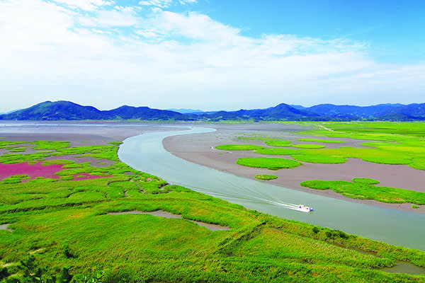 [釜山発]南道地方「順天」観光名所日帰りツアー「 順天湾湿地＋楽安邑城民俗村＋仙岩寺＋松広寺 」