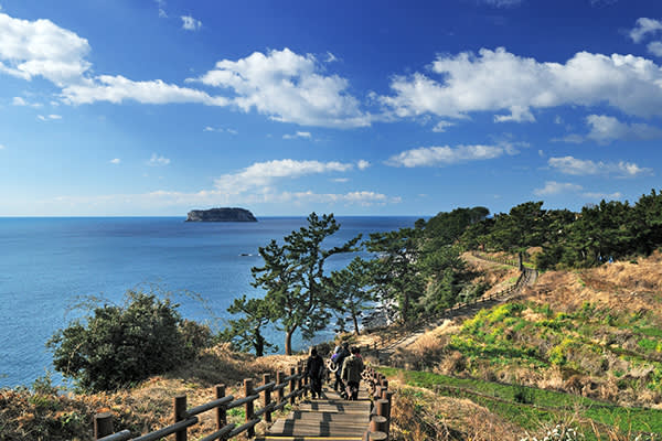 [济州]济州岛3大瀑布巡游+偶来徒步旅行