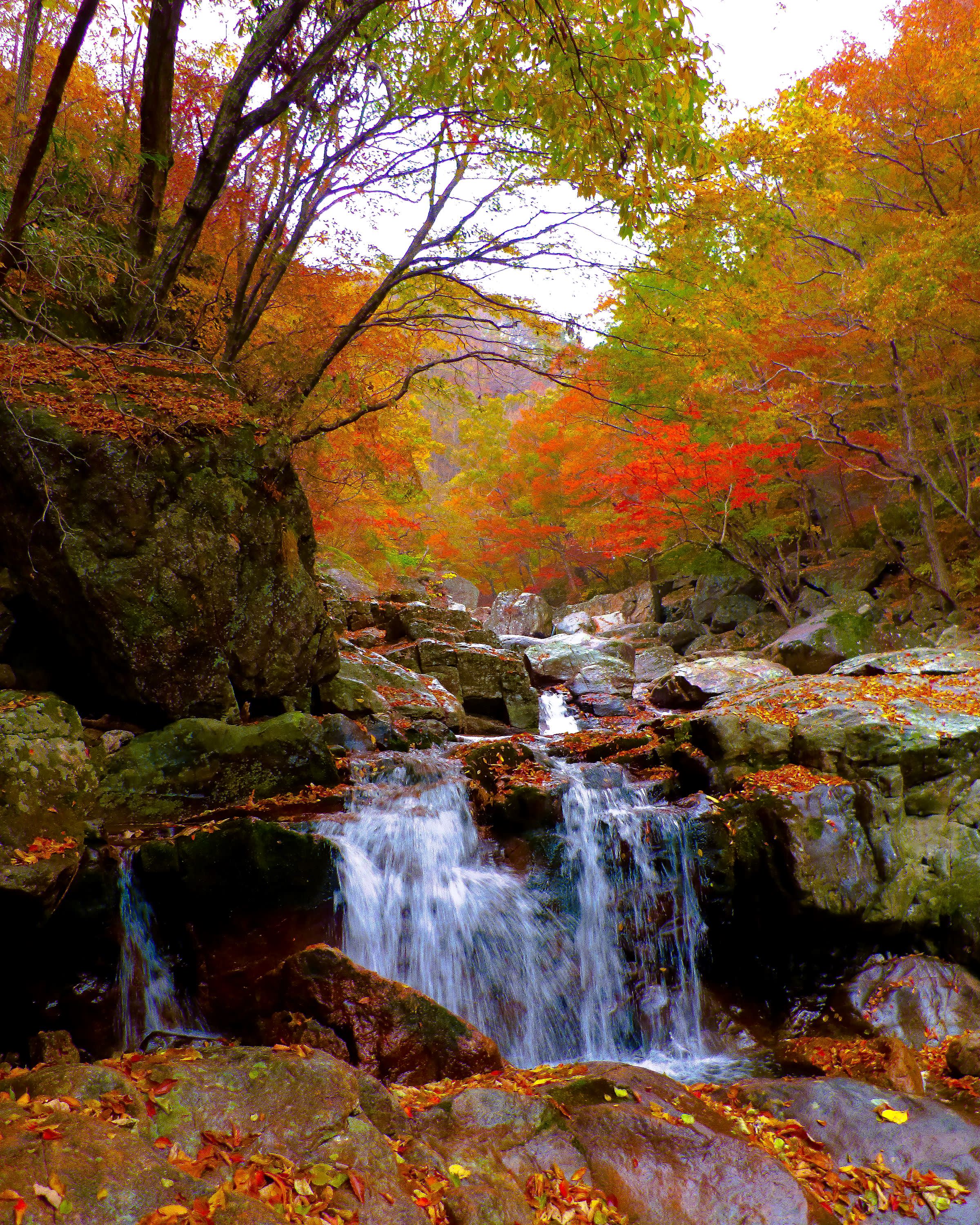 【釜山発】智異山紅葉観賞｜Baemsagol渓谷・泉隠寺日帰りツアー