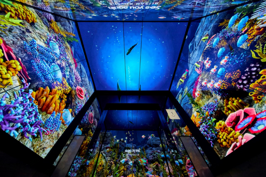 [釜山] 釜山エックスザスカイ