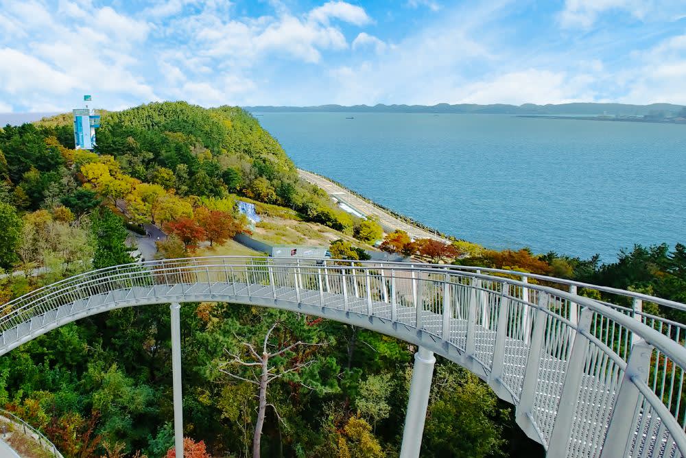 [浦项] Space Walk × 湖畔公园樱花观赏之旅 | 釜山出发