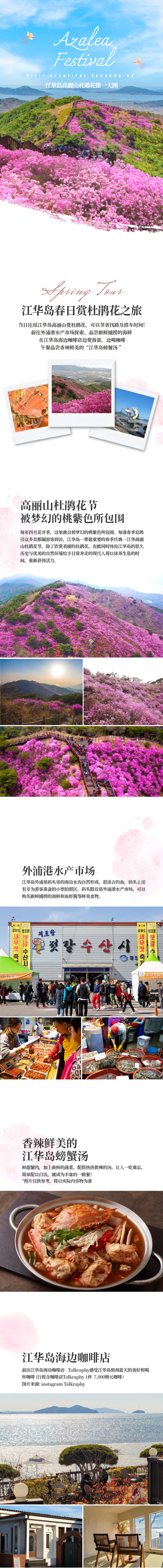 江华岛高丽山杜鹃花节一天团