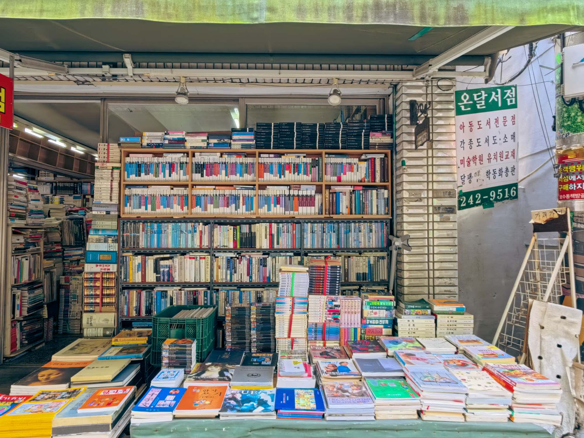 [Busan Local Favorites] Bamboo Forest, Coast & Local Life 1-Day Tour