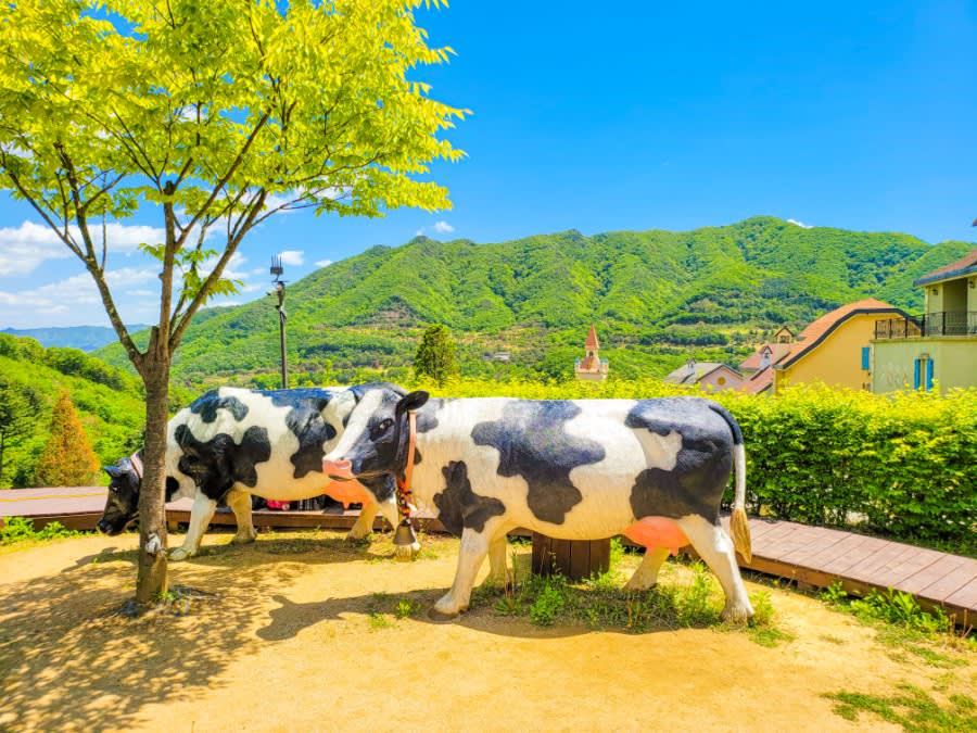 Nami Island + Edelweiss Swiss Theme Park