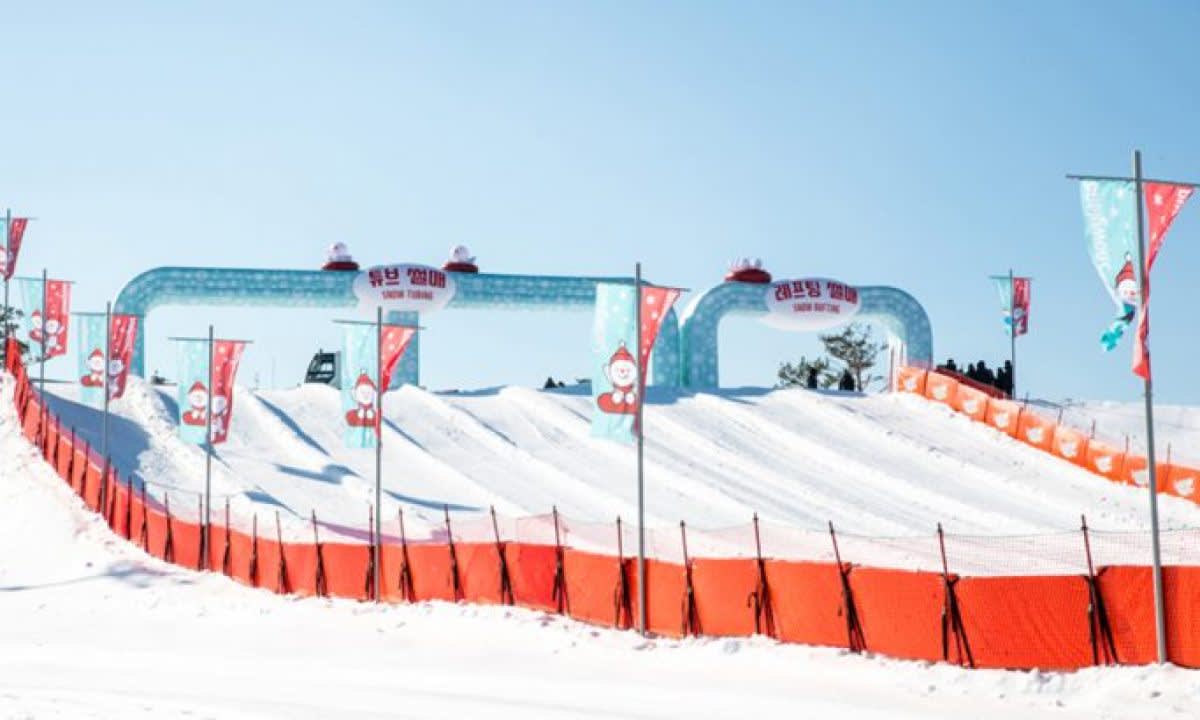 [从首尔出发] 南怡岛+洪川大明SONO VIVALDI PARK滑雪场（双板滑雪）一日游