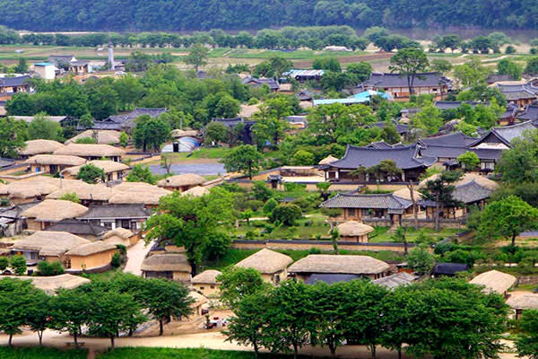 [ソウル発]世界遺産・安東「河回村」日帰り観光ツアー