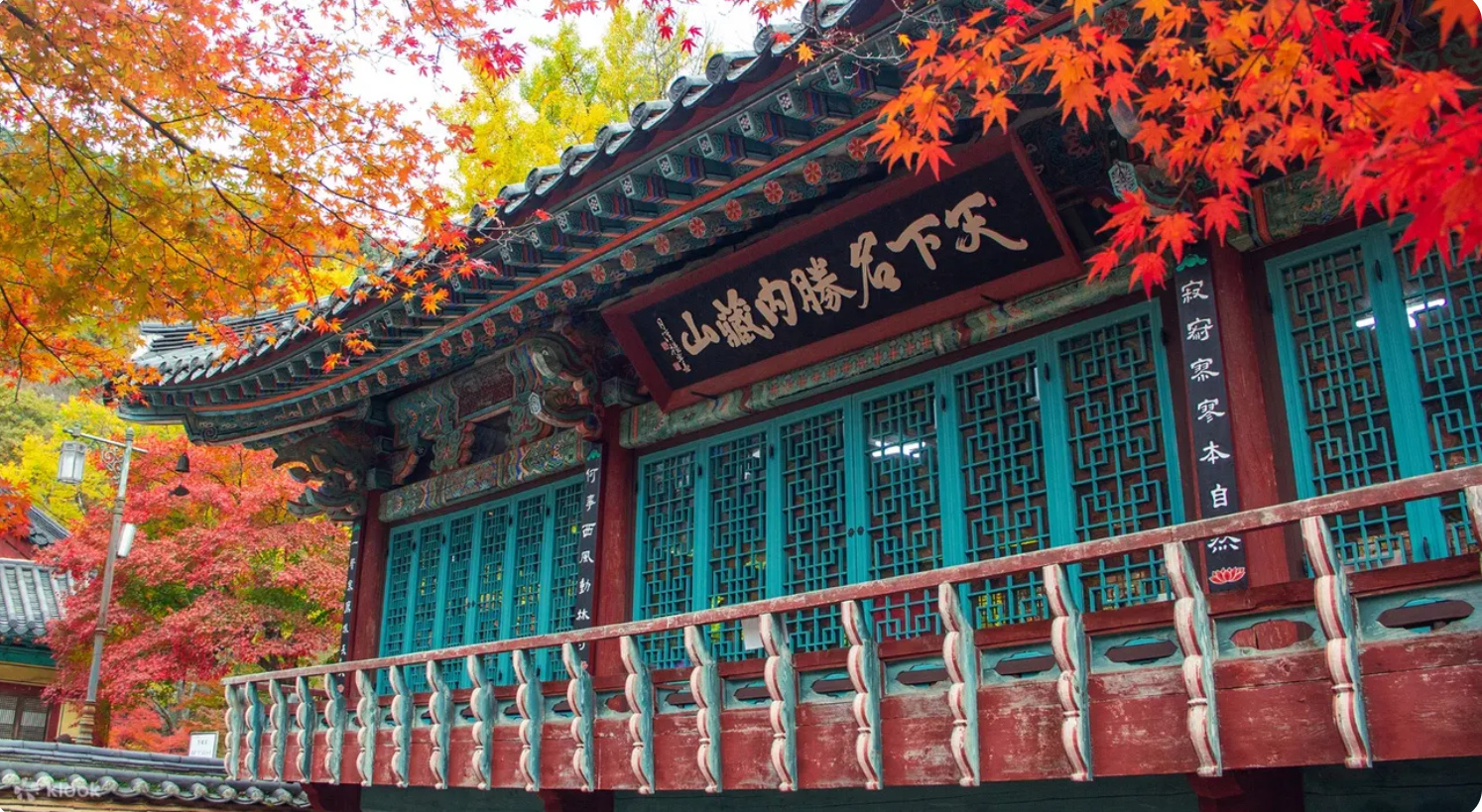 Autumn - Naejang National Park Maple Leaves Day Tour