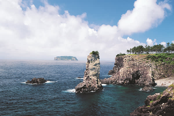 [中文/西归浦出发]济州岛内东环一日游