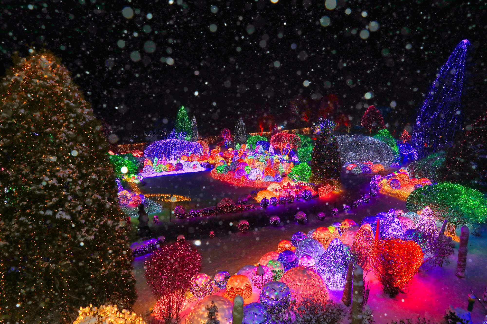 草泥马乐园 & 晨静树木园(夜灯)一日游