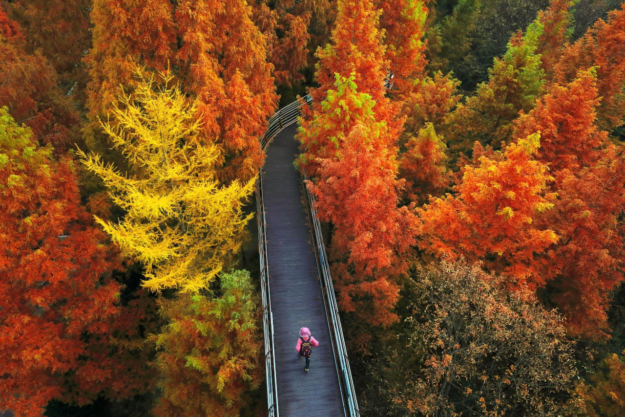 [From Seoul] Daejeon Autumn Day Tour: Jangtaesan, Hanbat Arboretum & Sungsimdang
