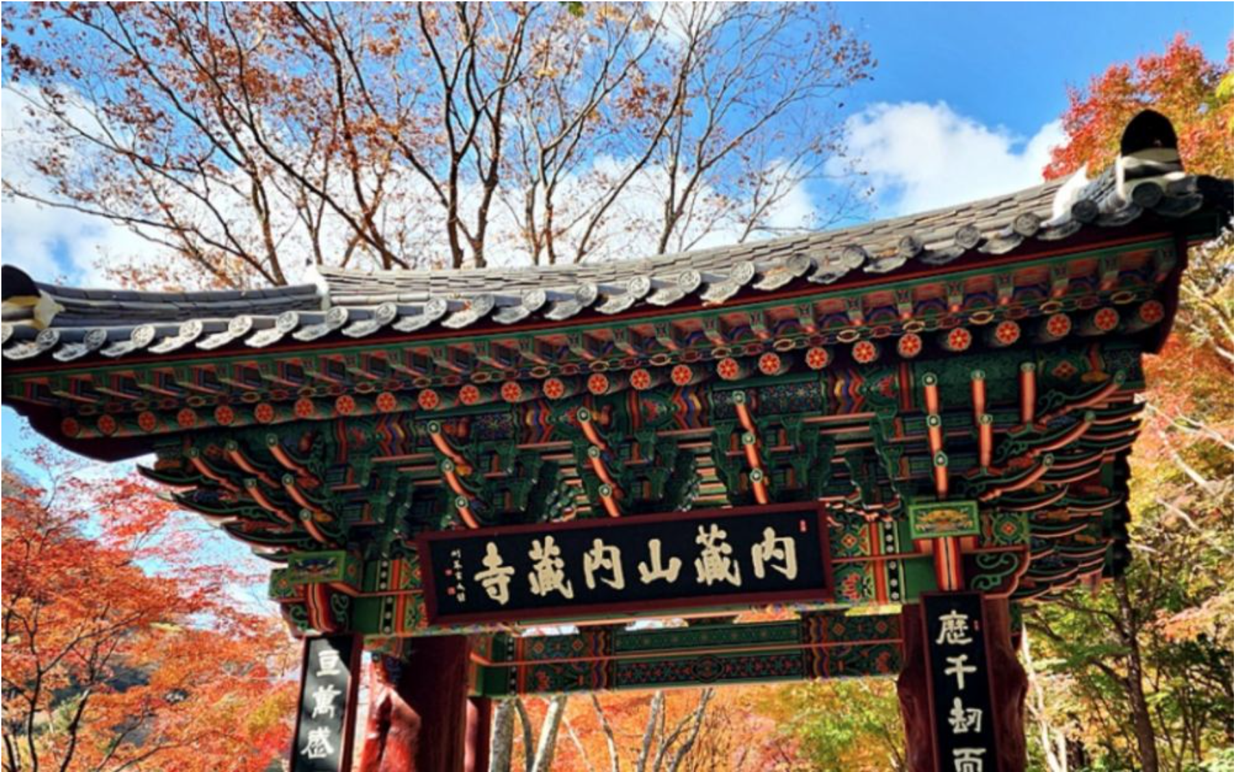 Autumn - Naejang National Park Maple Leaves Day Tour