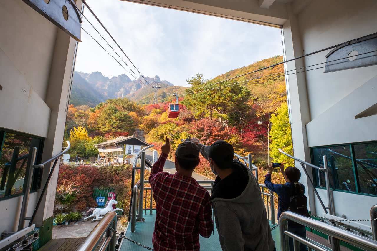 [From Seoul] Daedunsan Scenic Views & Baekje Buyeo Heritage Day Tour