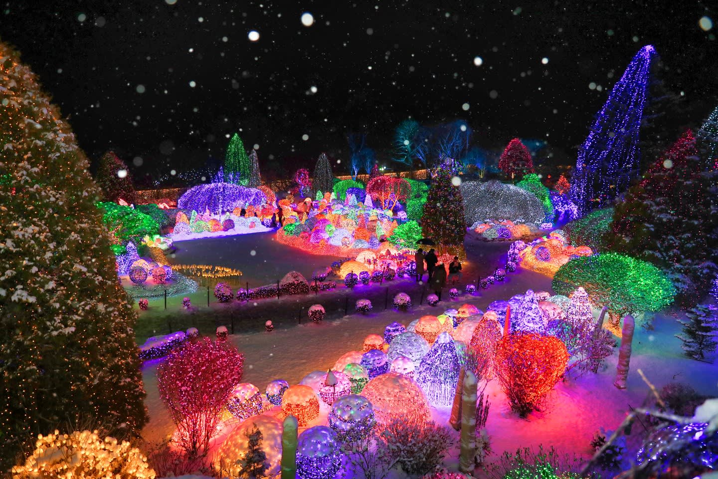 ソウル発｜オビ アイスバレー・南怡島・アチムゴヨ樹木園 日帰りツアー