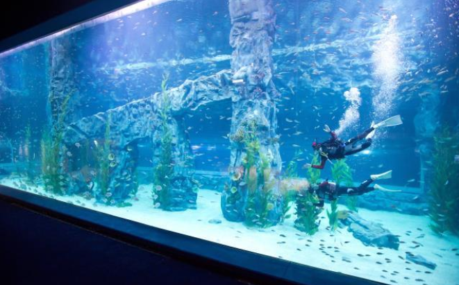 [首尔]蚕室乐天世界水族馆优惠入场券