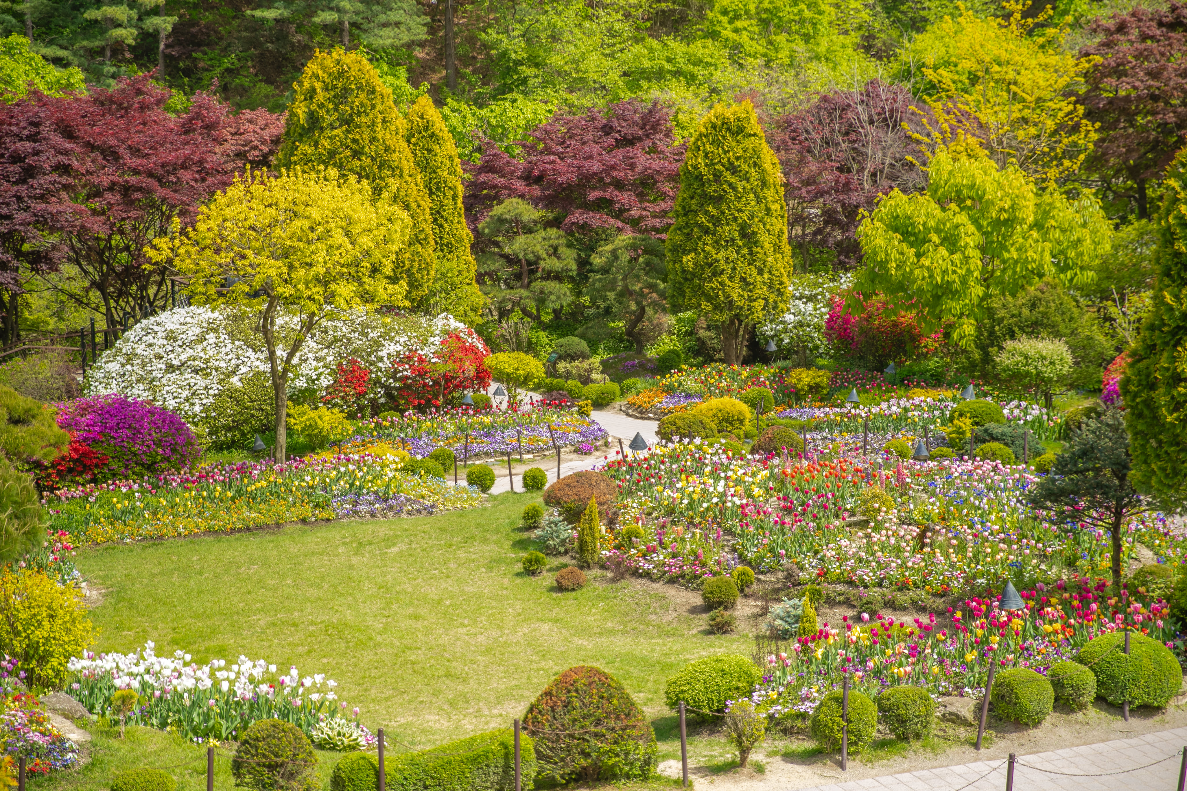  Alpaca World · Petite France + Italian Village · Garden of Morning Calm Private Tour