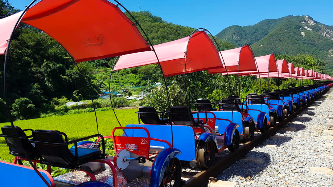 Alpaca World & Rail Bike & Chuncheon Ice Valley Waterfall Day Tour from Seoul