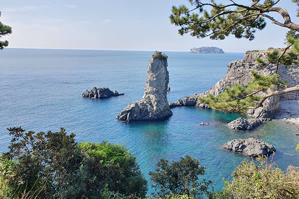 [済州]済州島３大滝巡り＋オルレ・ウォーキングツアー