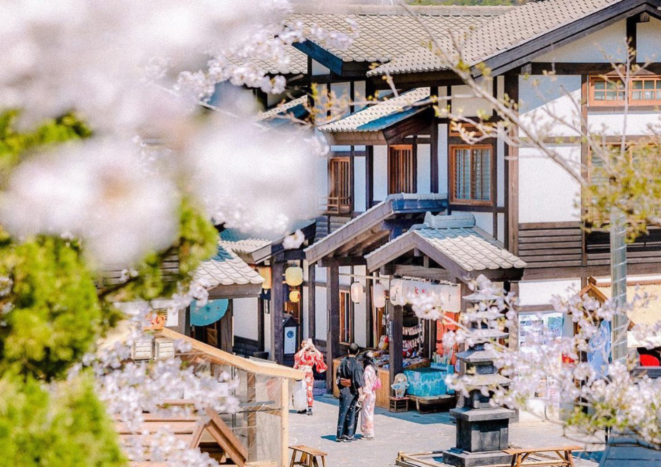 [Gyeonggi] Korea Culture Experience + Nijimori Studio Oneday tour