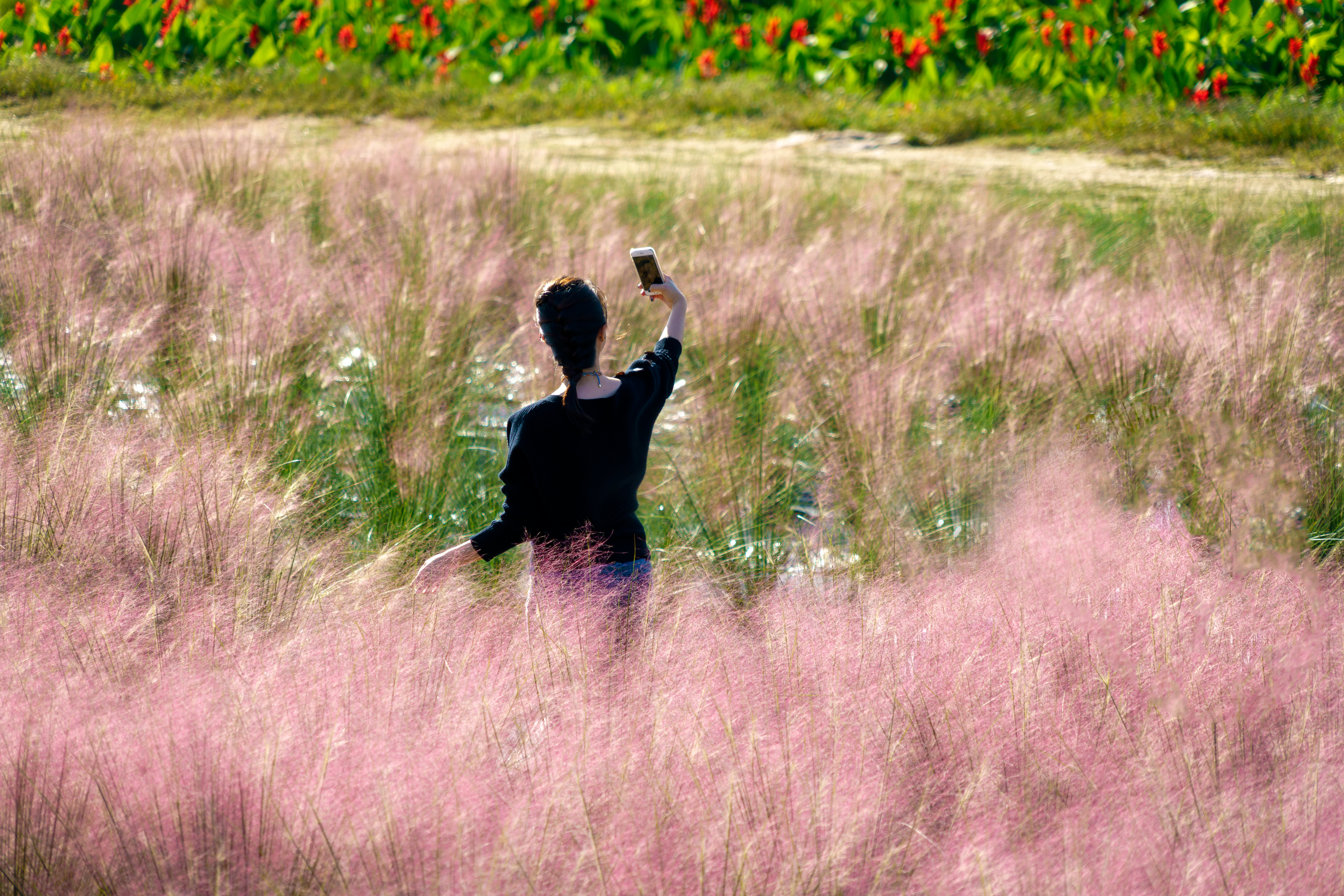 [首尔出发]Nari公园（粉红穆利草）＆ 南怡岛 ＆ 江村铁路自行车一日游