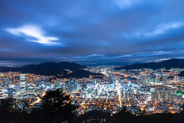 釜山グルメ「海鮮料理・刺身」＆釜山ナイトツアー