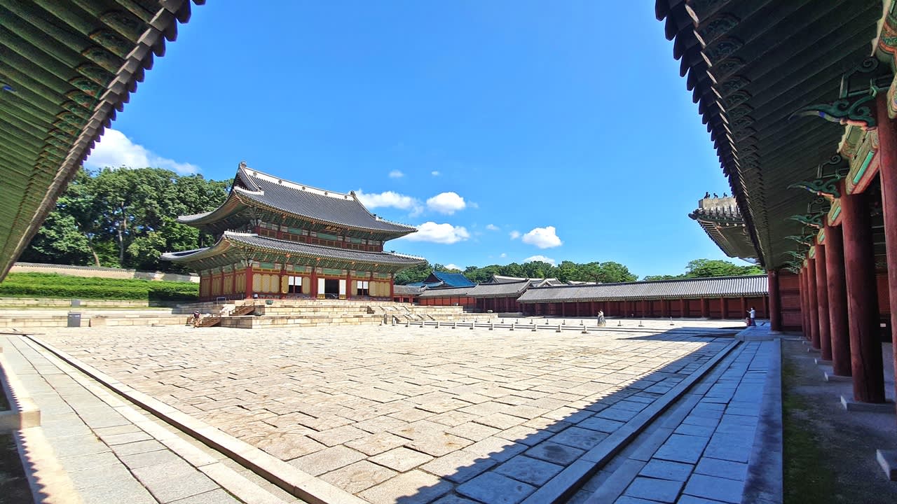  [Japanese Guide] Become a Seoul Master in Just 8 Hours! World Heritage Sites Jongmyo & Changdeokgung + Hanbok Experience + Seosulla-gil + Michelin Bibimbap + N Seoul Tower Octagonal Pavilion + National Museum of Korea
