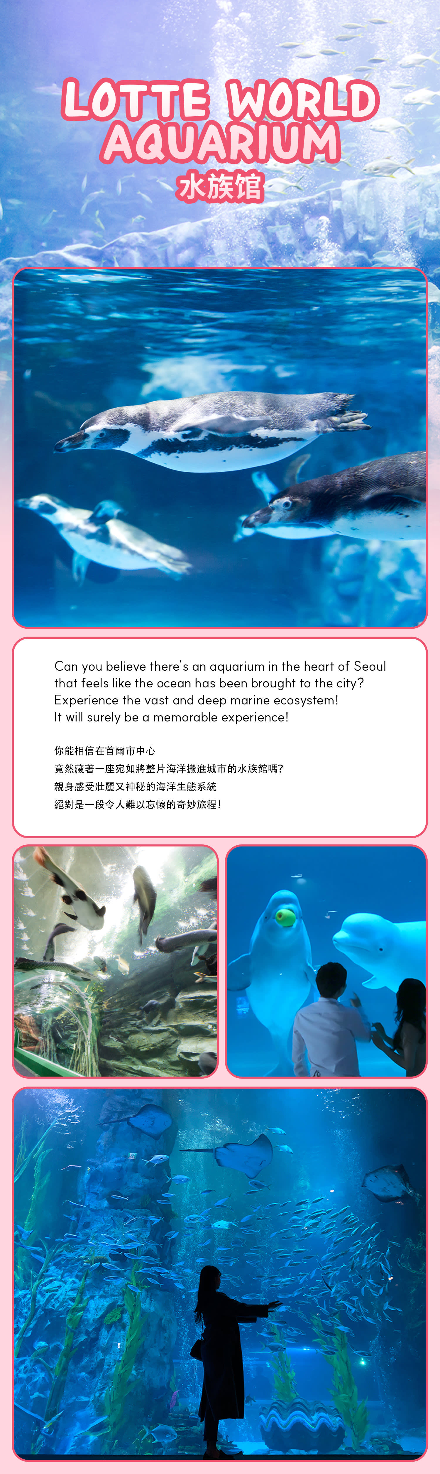[Seoul] City Tour – Lotte World / Seoul Sky / Aquarium Package/Lotte Duty Free