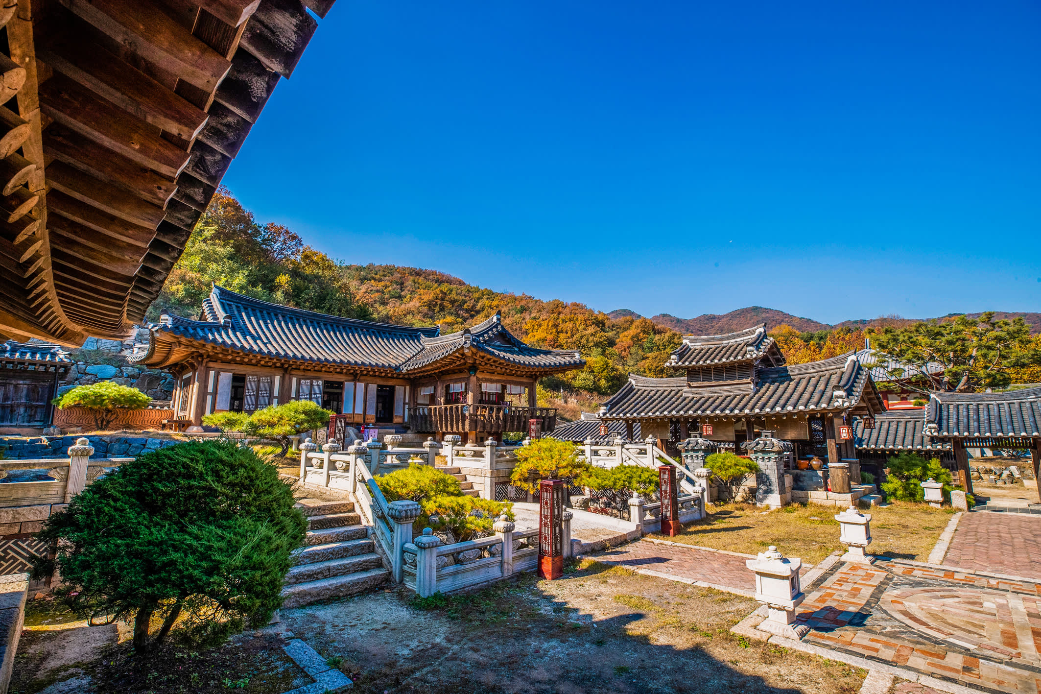 A Must-Do BTS Tour for ARMY & Fans