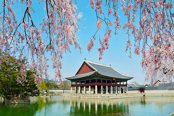 青瓦台＋景福宮＋通仁市場「お弁当作り」体験！（午前コース）