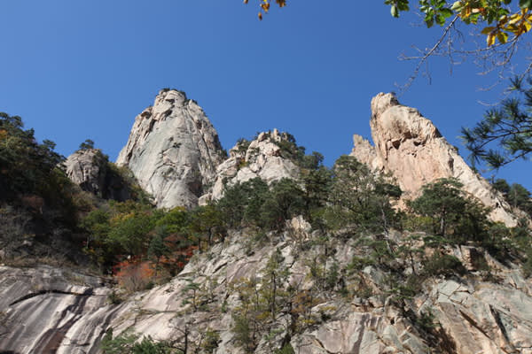 [ソウル発]雪岳山・洛山寺・アバイ村日帰り観光ツアー