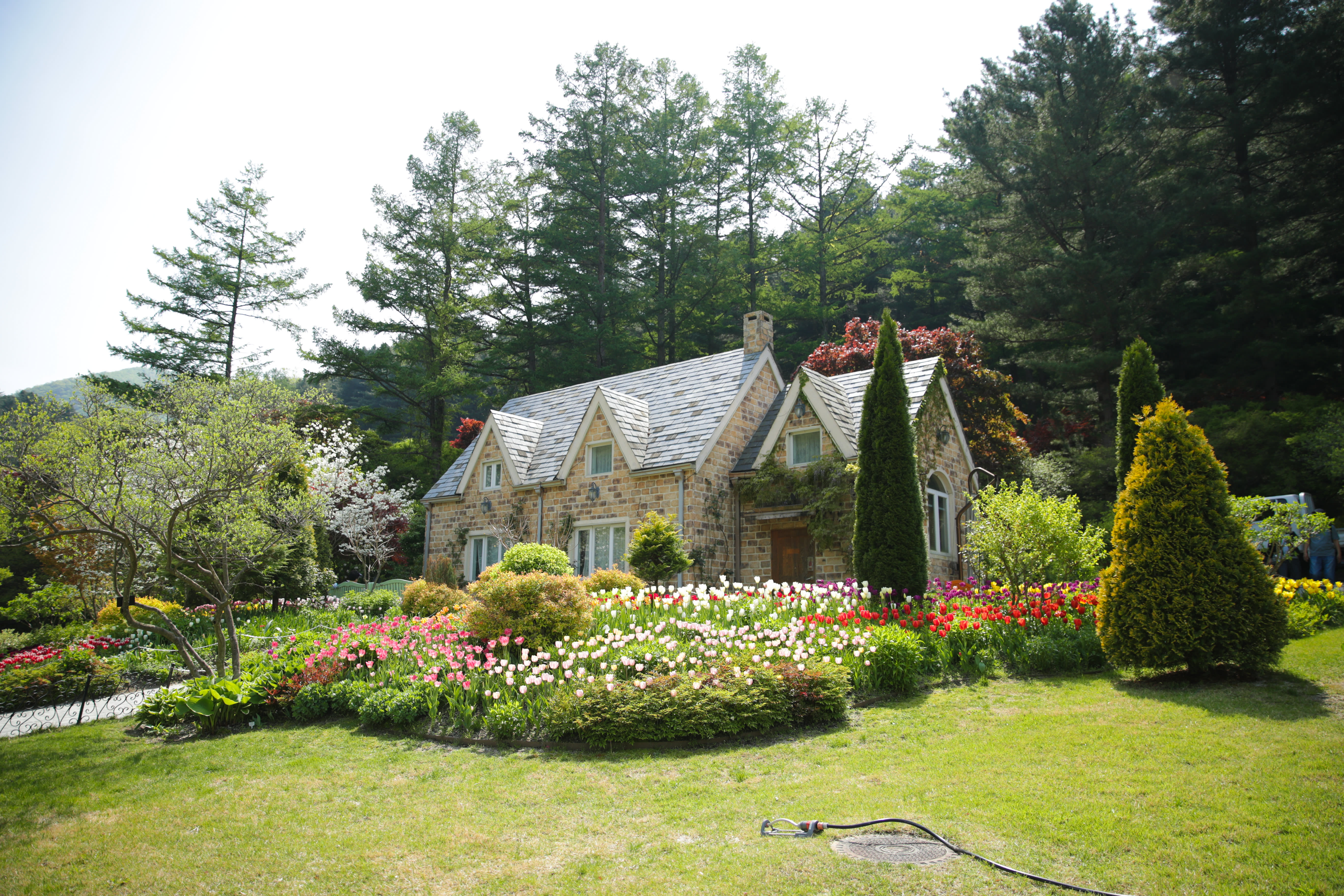 南怡岛近郊 + 羊驼乐园 9小时包车