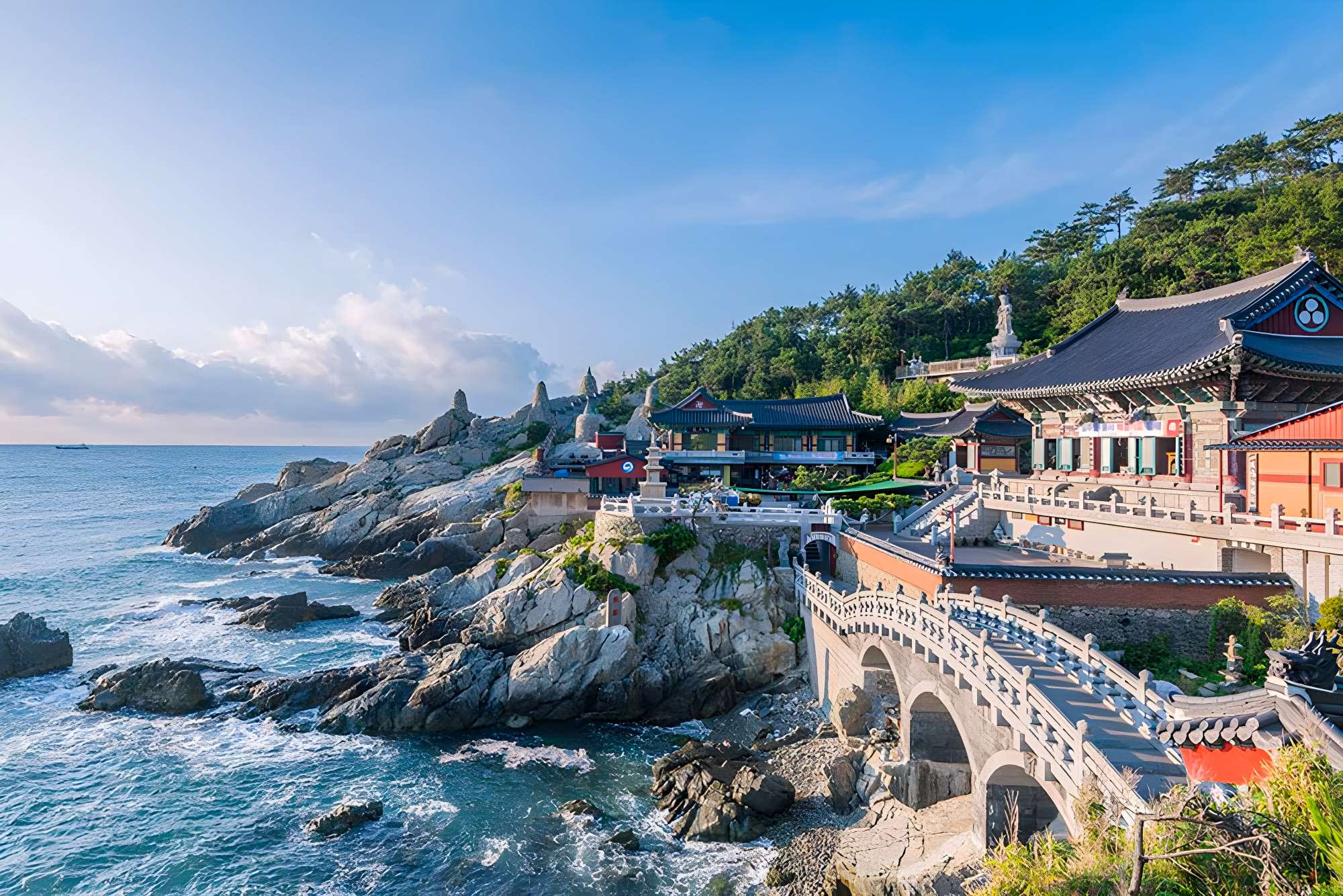 [Busan Essential] Coastal Views, Local Markets & Culture 1-Day Tour