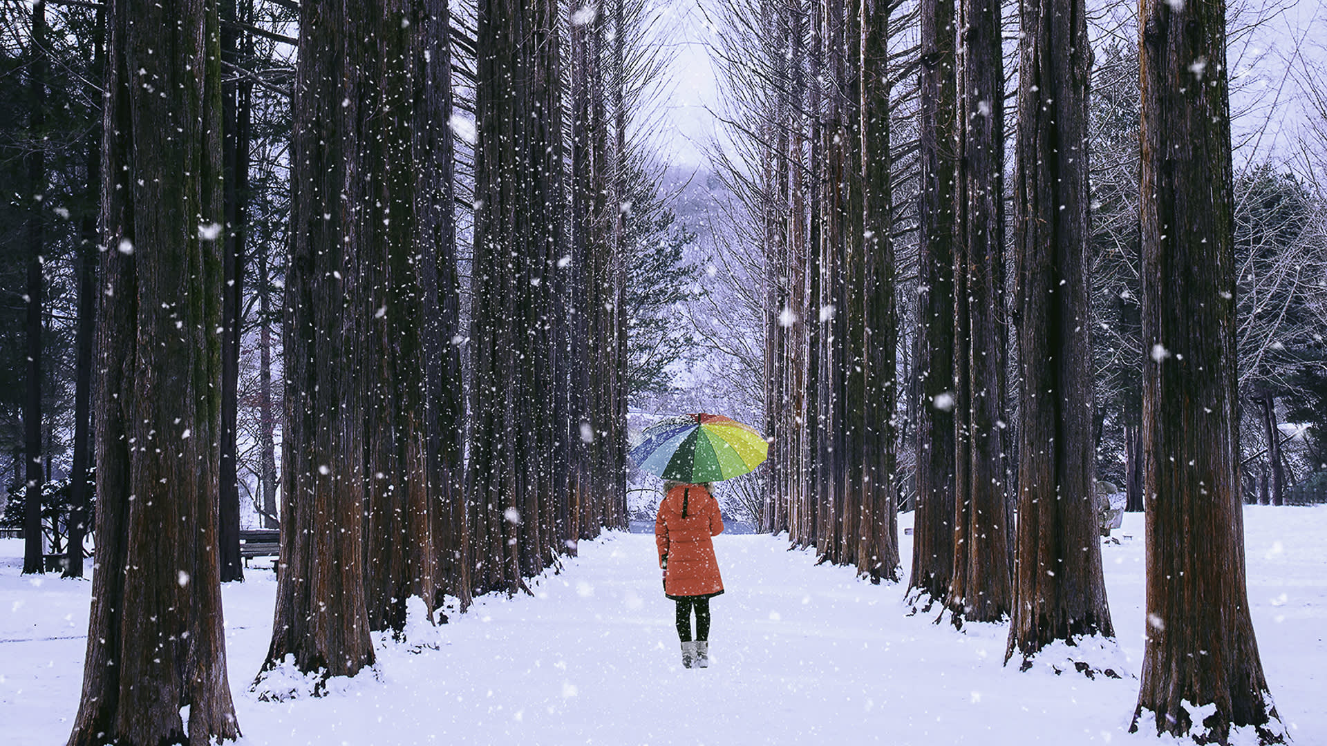 Seoul Car Rental with Driver to Gangwon-do (Seoraksan, Sokcho) 10 Hours