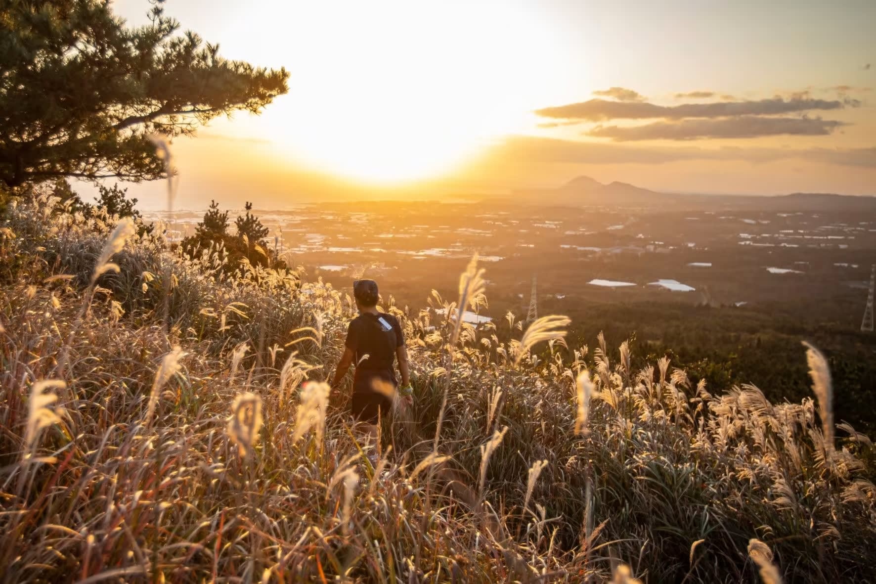 [Play & Stay] トレイルランニング - TransJeju by UTMB