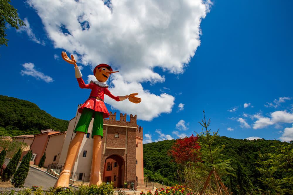 [首尔出发] 南怡岛樱花之旅（羊驼世界、江村铁路公园）