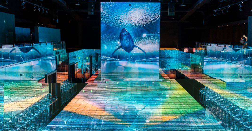 [釜山] Museum 1「再び、ロマンの時代」展 割引入場券