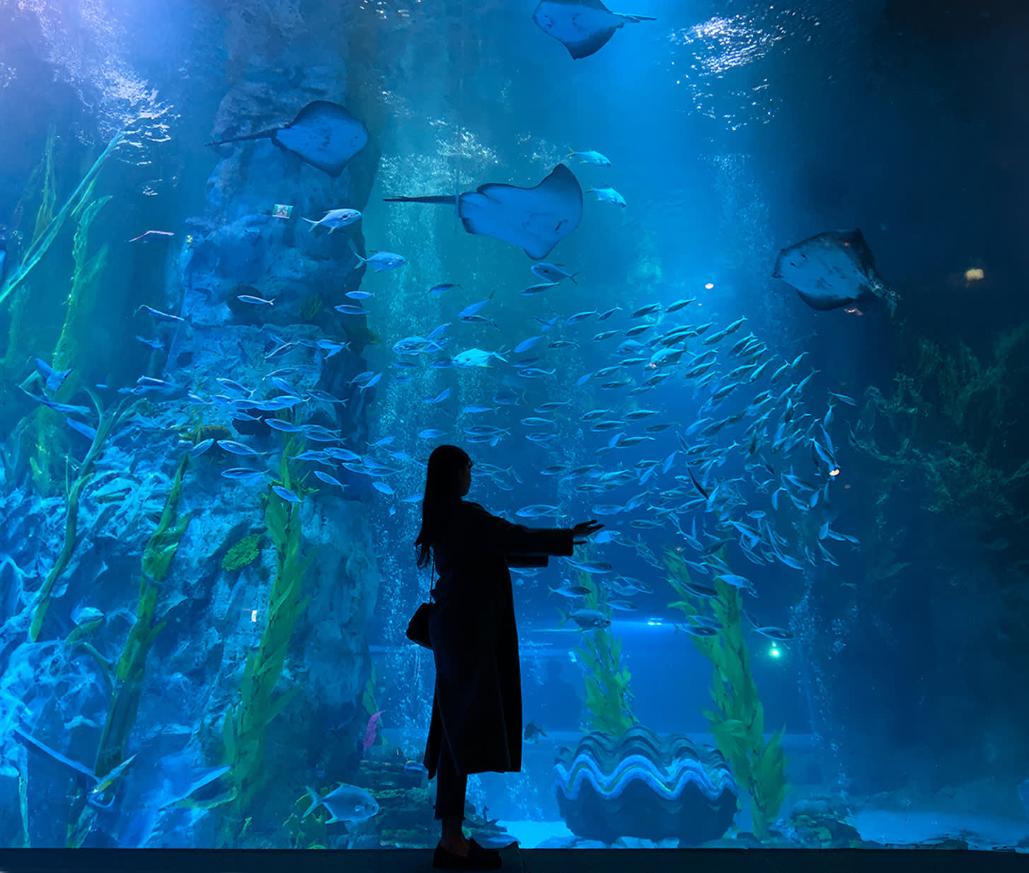 [2 Days] NAMI ISLAND & LOTTE WORLD TOUR (Lotte Duty Free Gifts)