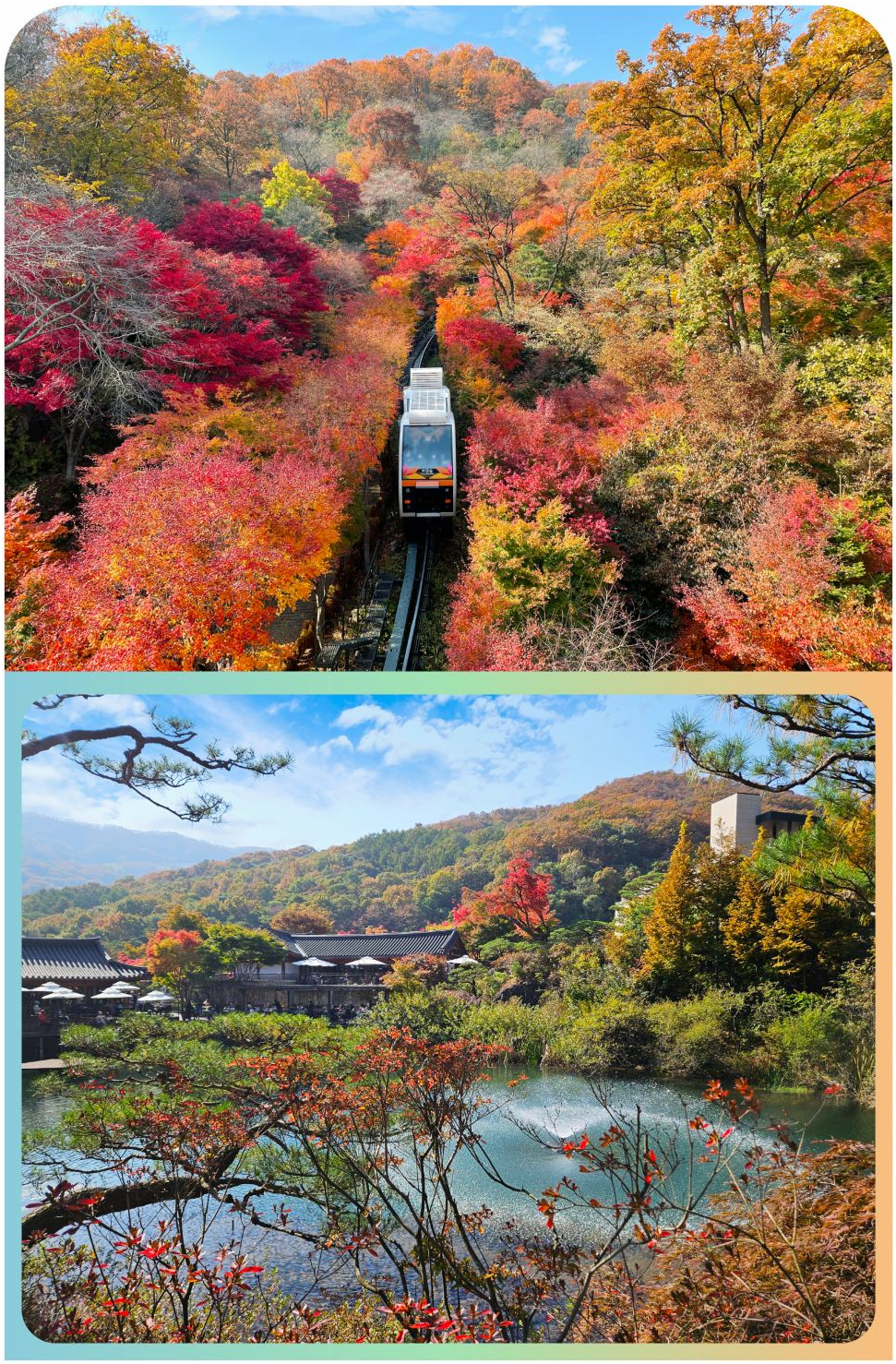 限时赏枫一日游｜华谈森林（Hwadamsup）｜首尔出发