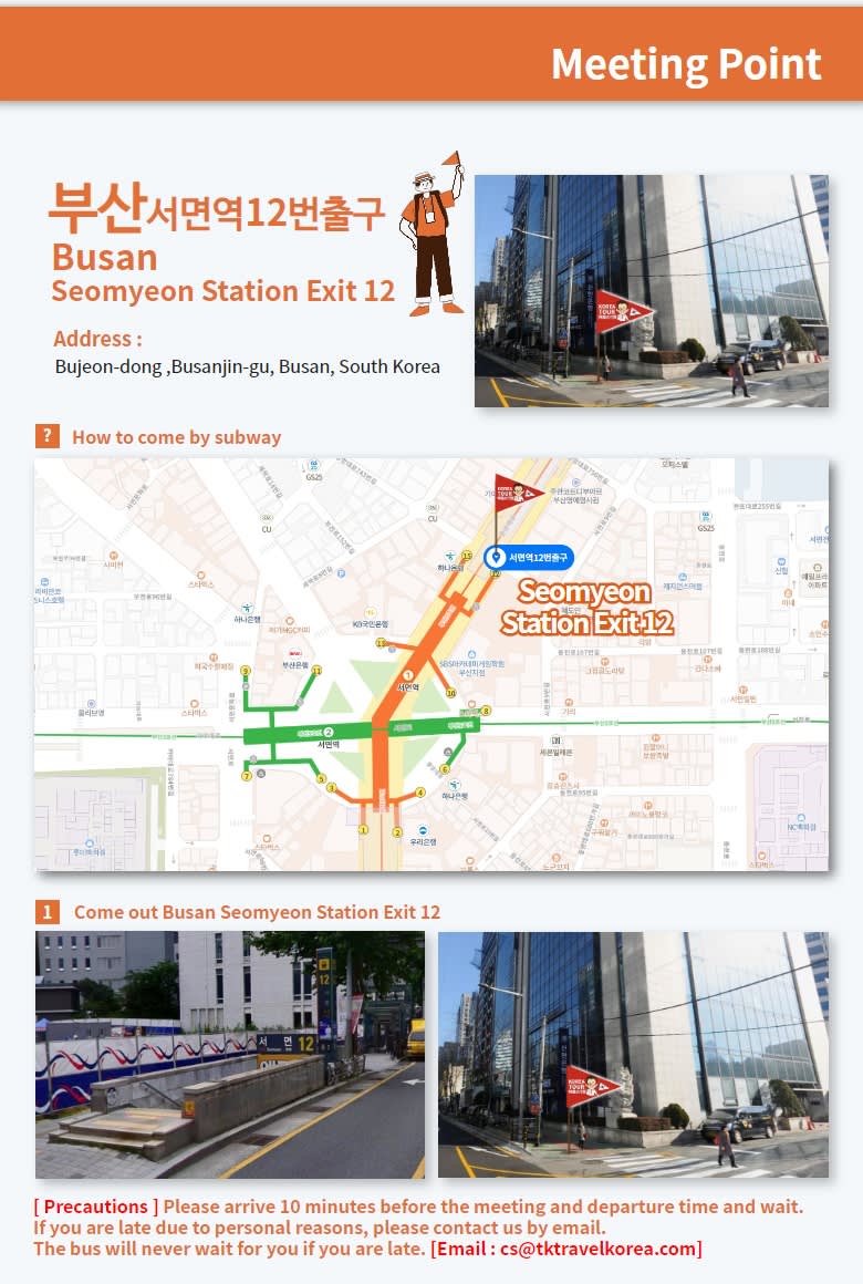 [Depart From Busan] Jinhae Romantic Cherry Blossom Day Tour