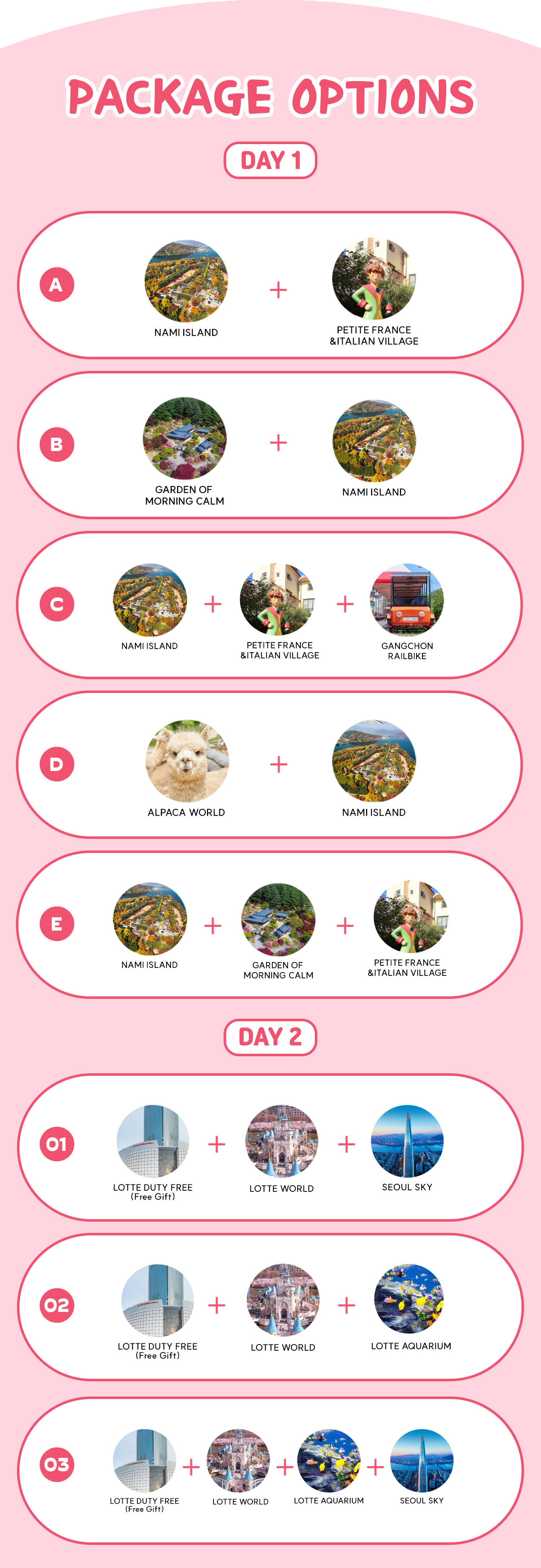 [2 Days] NAMI ISLAND & LOTTE WORLD TOUR (Lotte Duty Free Gifts)