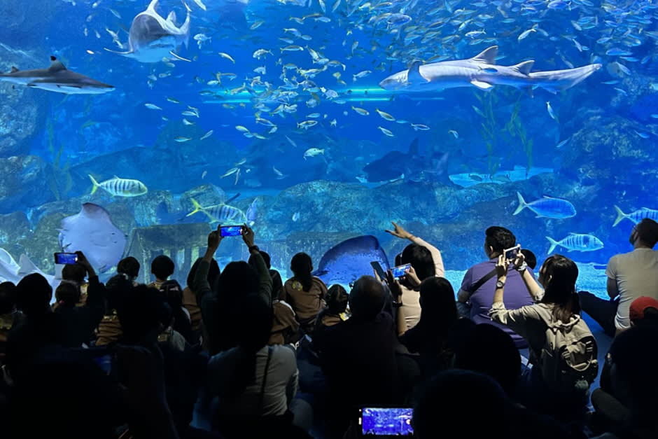 [首尔] SEA LIFE COEX, Seoul Aquarium水族馆门票