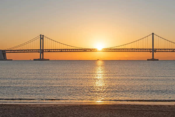 釜山グルメ「海鮮料理・刺身」＆釜山ナイトツアー