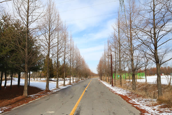 Korean drama "Goblin ~ The Lovely Days You Gave" location tour (Seoul/English Guide)