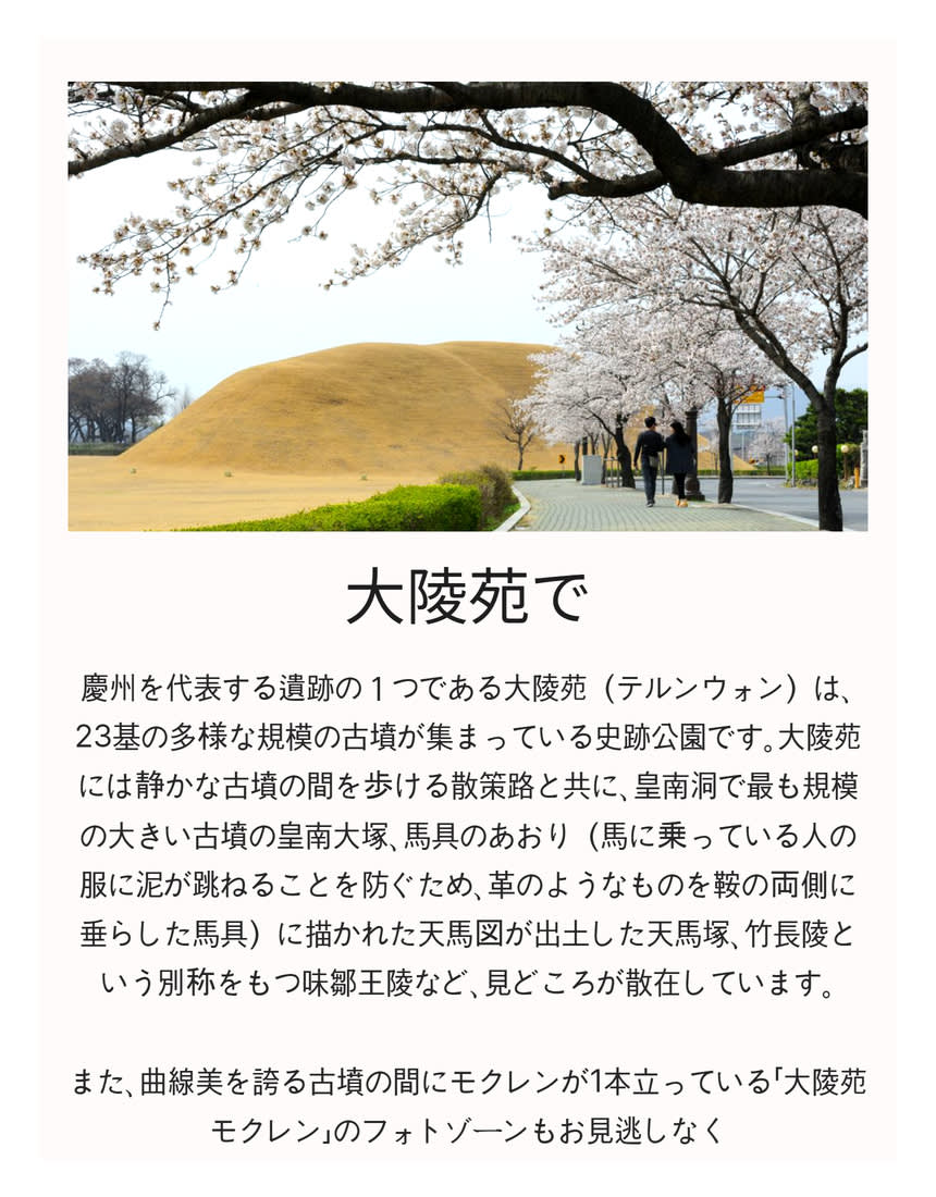 [汽車当日の旅行] 慶州へ行く春の花のお出かけ (大陵苑 春の花/ 仏国寺 桜)